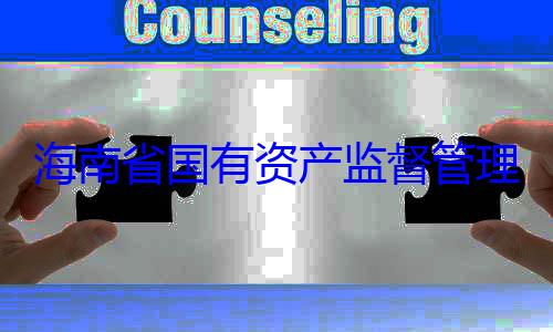 委副书记王资产监督管海南省国有理委员会党有福接受审查调查